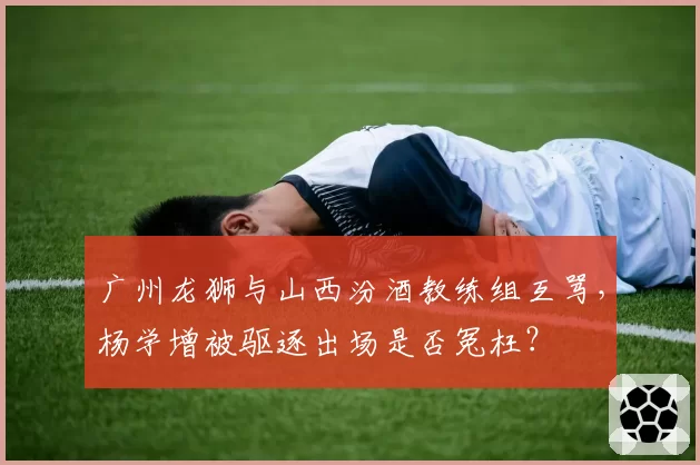 广州龙狮与山西汾酒教练组互骂,杨学增被驱逐出场是否冤枉?