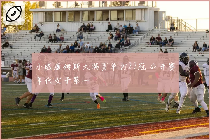 小威廉姆斯大满贯单打23冠 公开赛年代女子第一